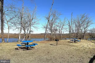 206 5th, Lothian, MD 20711 - Photo 13