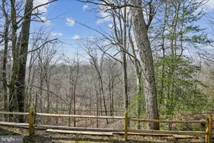 860 Woodmont Rd, Annapolis, MD 21401 - Photo 33