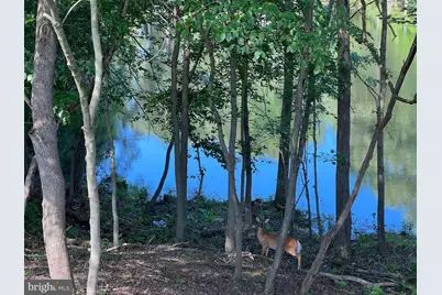 828 Swift Road, Pasadena, MD 21122 - Photo 13