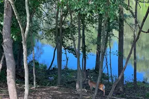 828 Swift Rd, Pasadena, MD 21122 - Photo 13