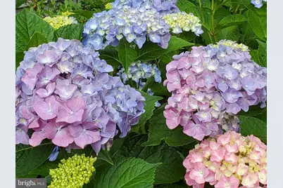 3227 Homewood Road, Davidsonville, MD 21035 - Photo 7