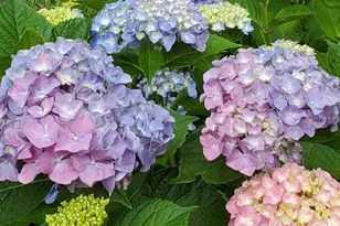 3227 Homewood Rd, Davidsonville, MD 21035 - Photo 7