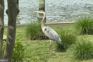 5931 Flood Ave, Deale, MD 20751 - Photo 69