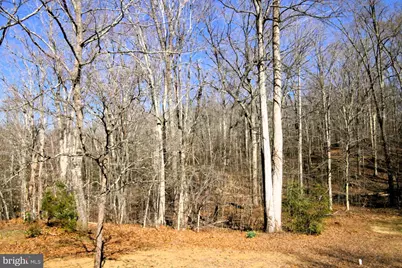 4695 Sands Road, Harwood, MD 20776 - Photo 47