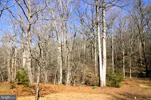 4695 Sands Rd, Harwood, MD 20776 - Photo 47