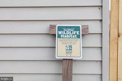 1213 McKinley Street, Annapolis, MD 21403 - Photo 33