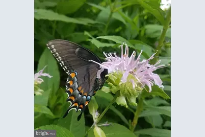 1213 McKinley Street, Annapolis, MD 21403 - Photo 29