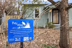 1213 McKinley St, Annapolis, MD 21403 - Photo 35