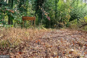 16 Wilelinor Dr, Edgewater, MD 21037 - Photo 53