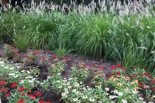 807 Eastern Point Rd, Annapolis, MD 21401 - Photo 69