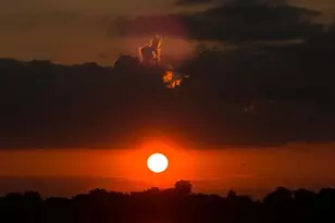 7526 Rock Creek Way, Pasadena, MD 21122 - Photo 93