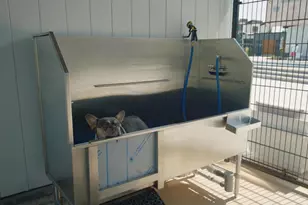 7753 Anvil Stone Wy, Glen Burnie, MD 21060 - Photo 47