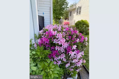 1420 Rowe Drive, Glen Burnie, MD 21061 - Photo 27