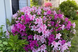 1420 Rowe Dr, Glen Burnie, MD 21061 - Photo 27