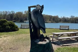 8556 Kim Marie Ct, Pasadena, MD 21122 - Photo 37