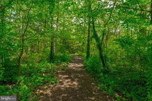 500 Wood Duck Ln, Annapolis, MD 21409 - Photo 47