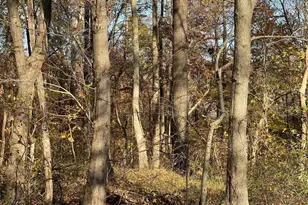 4755 S Polling House Rd, Harwood, MD 20776 - Photo 25