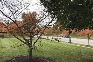 703 Orchard Overlook, Odenton, MD 21113 - Photo 13