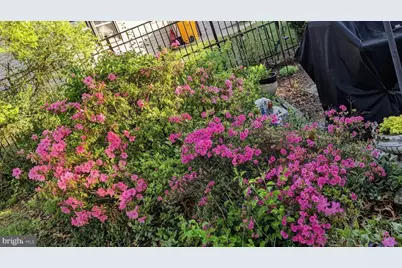 762 224th Street, Pasadena, MD 21122 - Photo 29