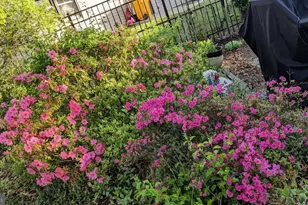 762 224th St, Pasadena, MD 21122 - Photo 29