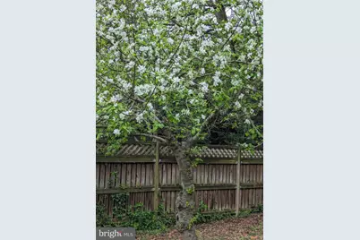 1154 Willow Lane, Annapolis, MD 21409 - Photo 33