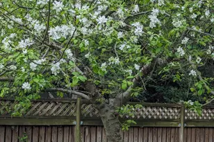 1154 Willow Ln, Annapolis, MD 21409 - Photo 33