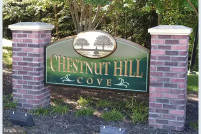 1035 Chestnut Cove Drive, Chestnut Hill Cove, MD 21226 - Photo 39