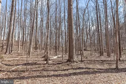 3891 Greenmeadow Lane, Davidsonville, MD 21035 - Photo 3