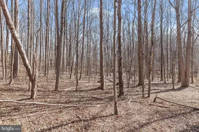 3891 Greenmeadow Lane, Davidsonville, MD 21035 - Photo 3