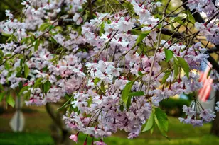 620 Jumpers Hole Rd, Severna Park, MD 21146 - Photo 31