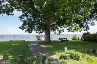 4706 Frederick Ave, Shady Side, MD 20764 - Photo 57