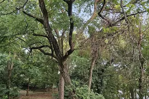 1244 Swanhill Ct, Curtis Bay, MD 21226 - Photo 27