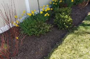 1215 Markham Ln, Pasadena, MD 21122 - Photo 27