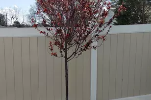 1215 Markham Ln, Pasadena, MD 21122 - Photo 31