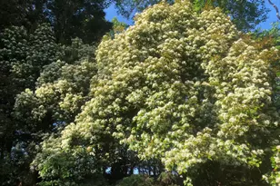 2568 Forest Knoll, Annapolis, MD 21401 - Photo 45