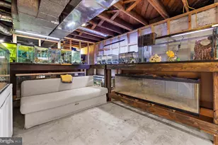 1608 Wall Dr, Pasadena, MD 21122 - Photo 23