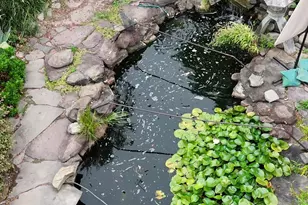 7720 W Shore Rd, Pasadena, MD 21122 - Photo 63