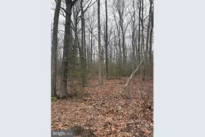 5280 Cedar Street, West River, MD 20778 - Photo 1