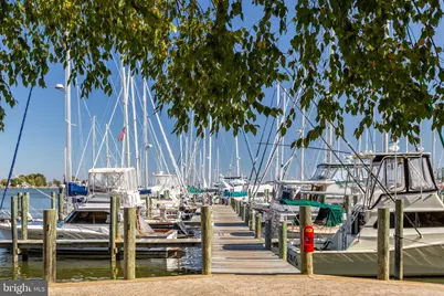 634 Alabama Avenue, North Beach, MD 20714 - Photo 69