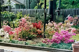 1609 Earlham Ave, Crofton, MD 21114 - Photo 31