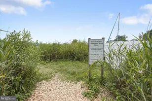 369 Beech Trail, Crownsville, MD 21032 - Photo 37