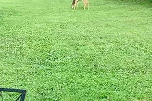 3280 Arundel on the Bay Rd, Annapolis, MD 21403 - Photo 45