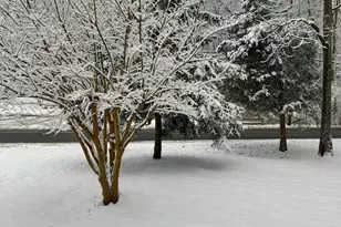 3280 Arundel on the Bay Rd, Annapolis, MD 21403 - Photo 47