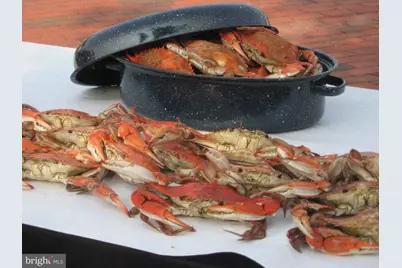 637 Chase Street, Annapolis, MD 21401 - Photo 59