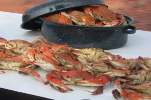 637 Chase St, Annapolis, MD 21401 - Photo 59