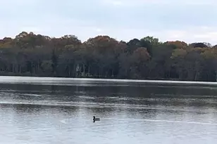 2142 Lake Dr, Pasadena, MD 21122 - Photo 41