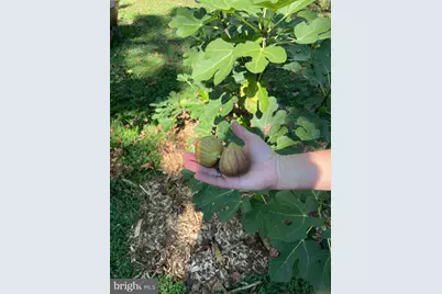 508 Bay Hills Drive, Arnold, MD 21012 - Photo 39