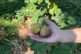 508 Bay Hills Dr, Arnold, MD 21012 - Photo 39