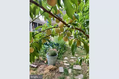 508 Bay Hills Drive, Arnold, MD 21012 - Photo 37