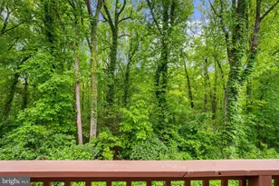 557 Bay Dale Ct, Arnold, MD 21012 - Photo 21